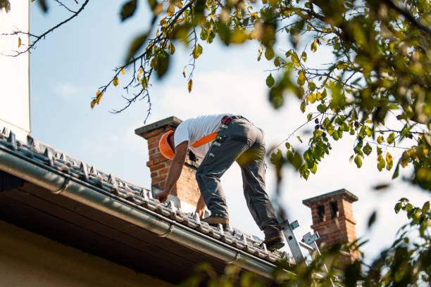 Quick and Trustworthy Emergency Roof Repair Services in West Hamburg, PA